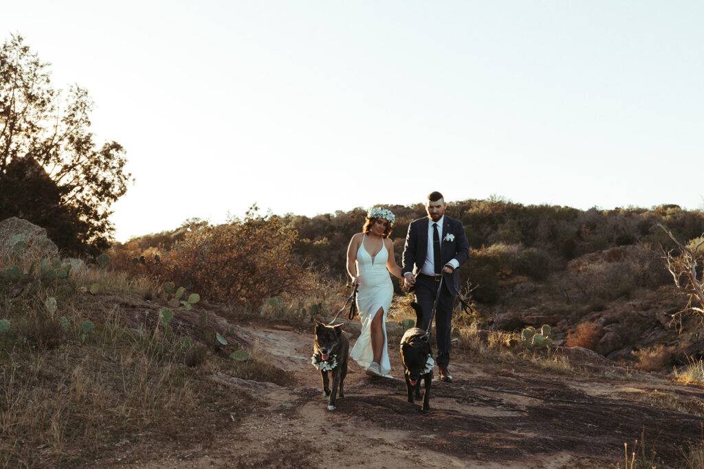 couple walks dogs together at sunset Texas elopement