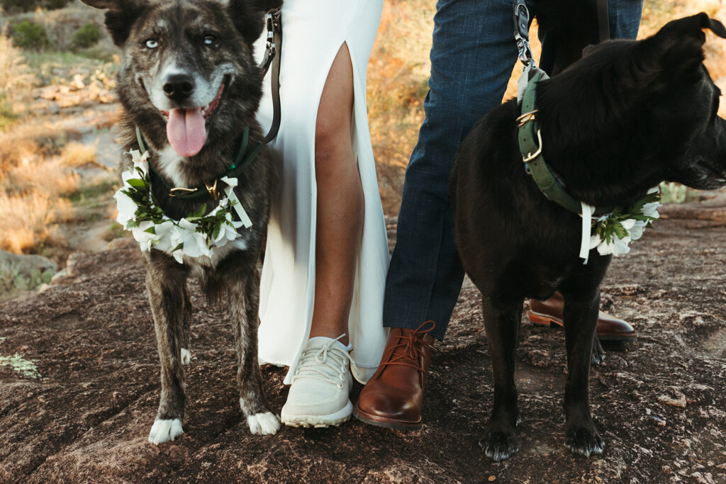 couple stands with dogs at Inks Lake in Texas elopement