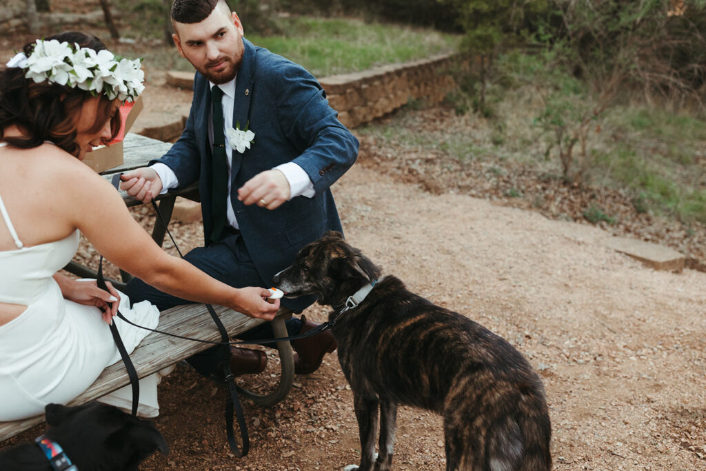 couple feeds dog treats at outdoor Texas elopement