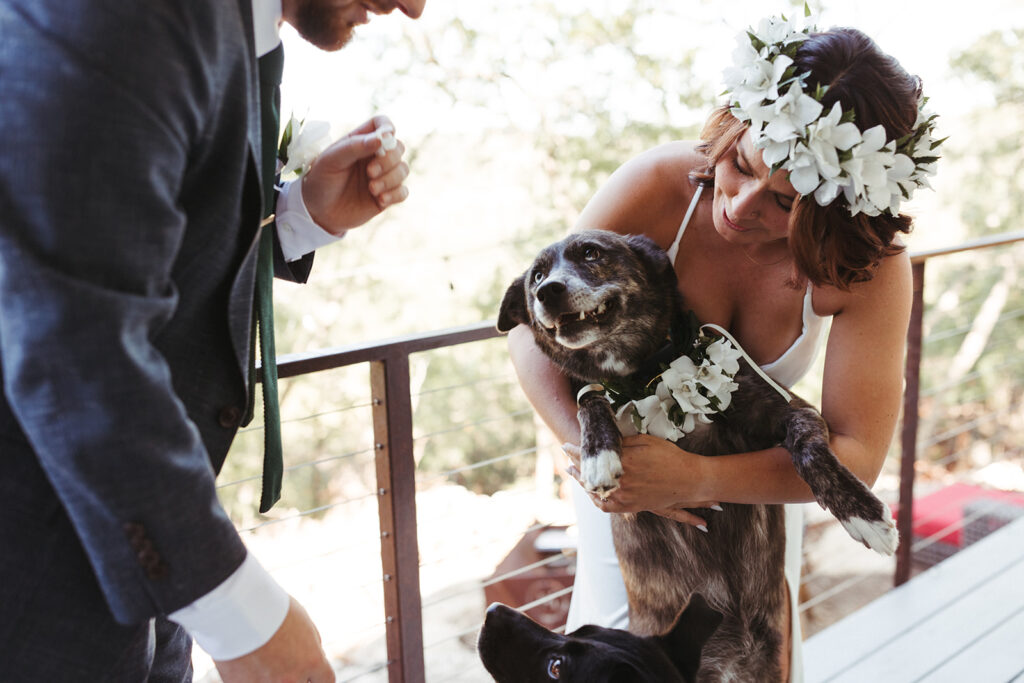 couple hugs dogs at outdoor elopement