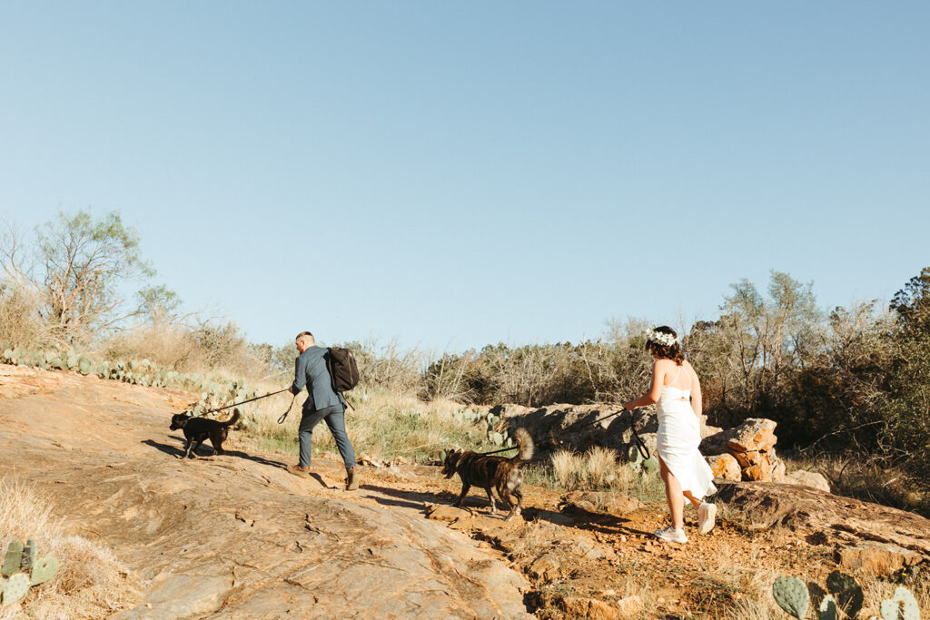 couple walks dogs at Texas elopement