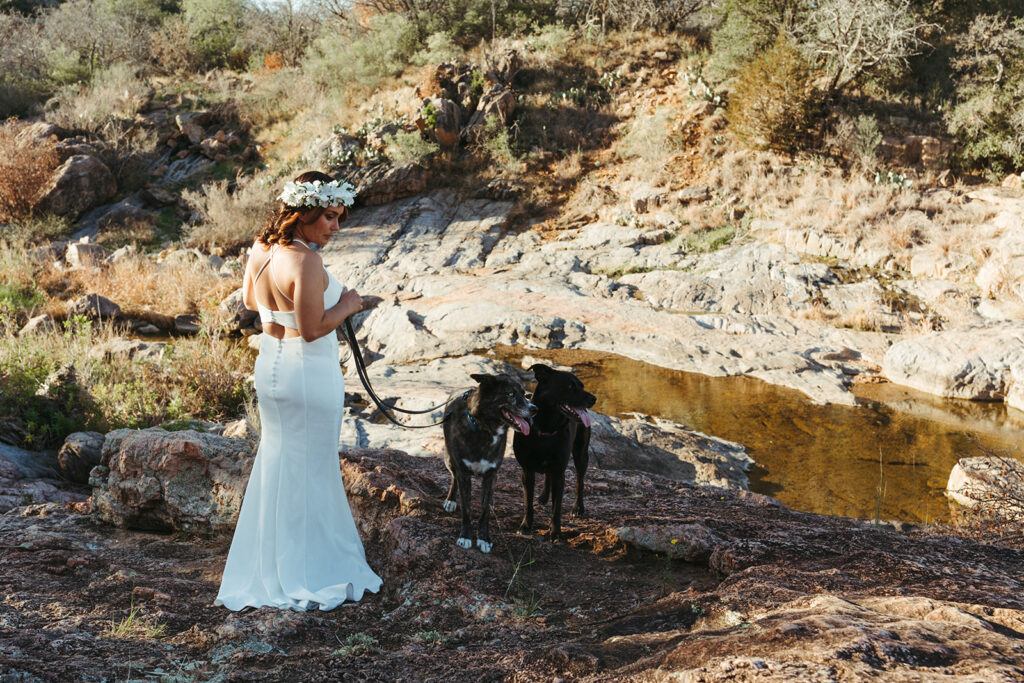 bride walks dogs beside Inks Lake in Texas