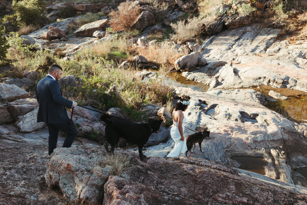 couple walks dogs at Texas elopement