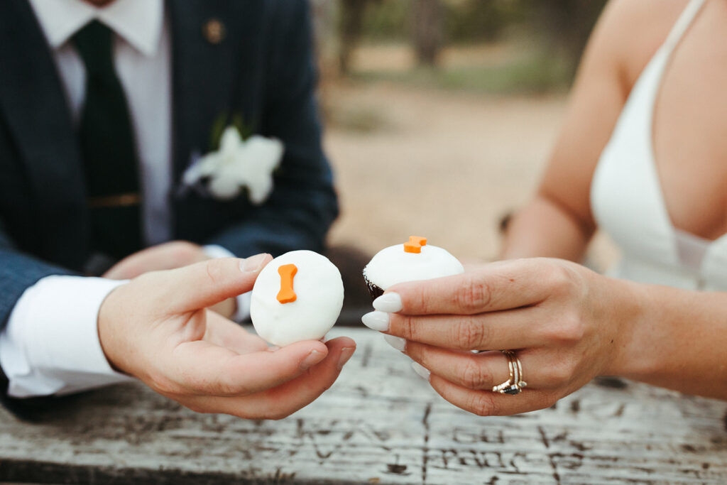 couple eats cupcakes during elopement