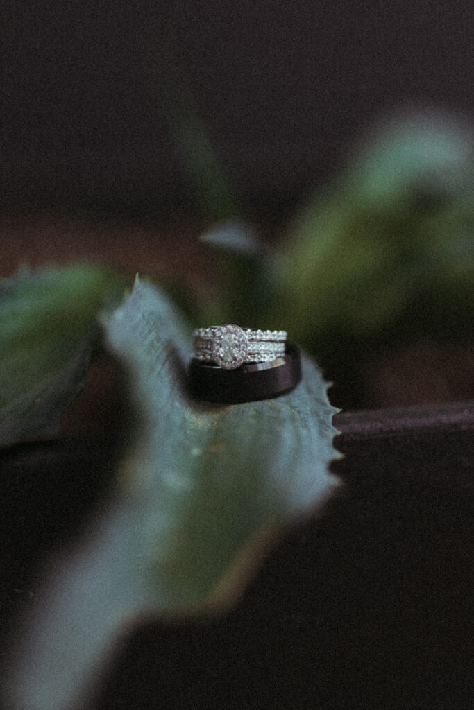 wedding bands on green leaf